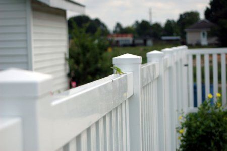 The Pros And Cons of Vinyl Privacy Fencing