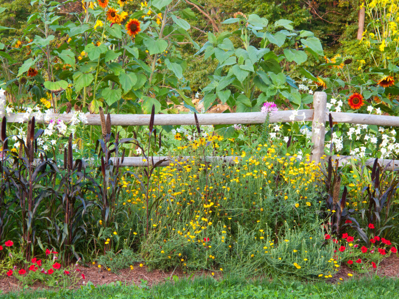 Fencing Guide for Mountain Wildflower Garden Landscapes